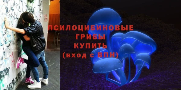 соль курить ск Надым