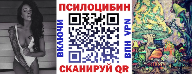 darknet как зайти  купить наркотик  Курганинск  Галлюциногенные грибы Psilocybe 