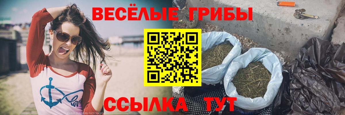 Псилоцибиновые грибы Cubensis Курганинск
