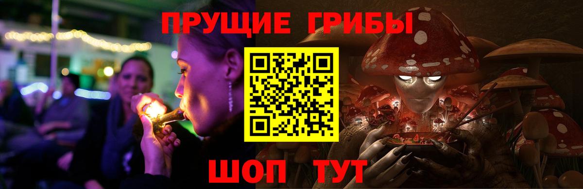 Псилоцибиновые грибы Cubensis  Вход с VPN  Курганинск  Галлюциногенные грибы MAGIC MUSHROOMS 