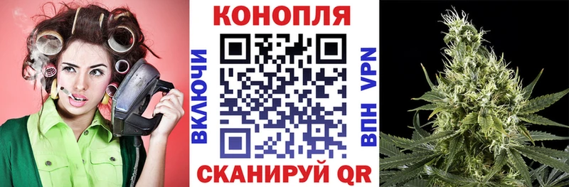 MEGA зеркало  Курганинск  Каннабис планчик 