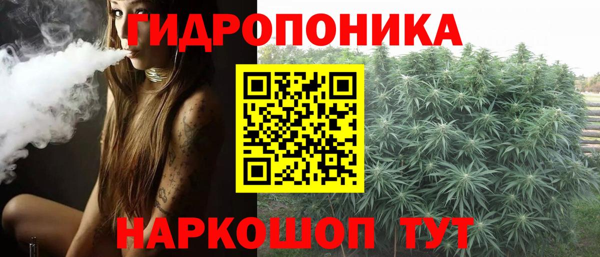 Псилоцибиновые грибы Курганинск